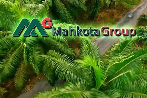 Info Lowongan Kerja Pt Mahkota Group Tbk November Berikut Syarat