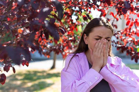 Allergies Au Pollen Tout Ce Que Vous Devez Savoir Pour Les Combattre