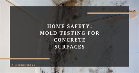 Home Safety Mold Testing For Concrete Surfaces