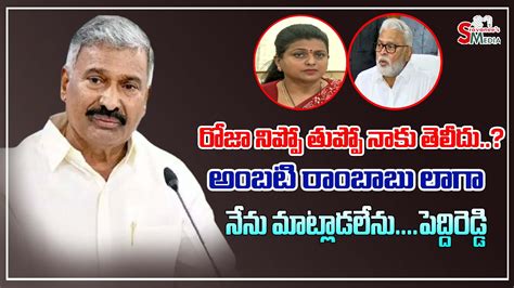 Peddireddy Ramachandra Reddy Sarcastic Comments On Minister Roja And