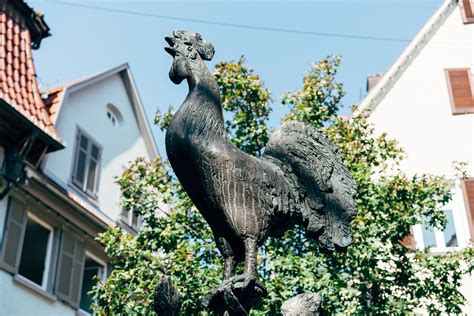 Escultura De Gallo Metalico Arte Foto Gratis En Pixabay Pixabay