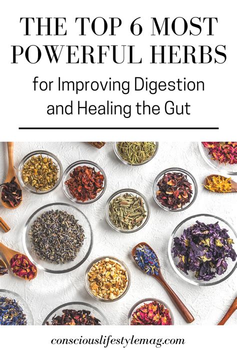 The 6 Most Powerful Herbs on the Planet for Improving Digestion ...