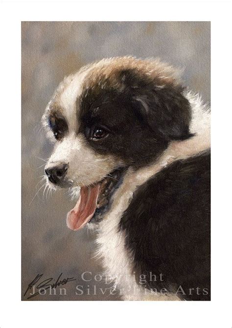 Border Collie Puppy Dog Portrait Por El Galardonado Artista Etsy