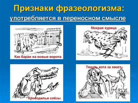 Фразеологизмы | РИТОРУ.РУ