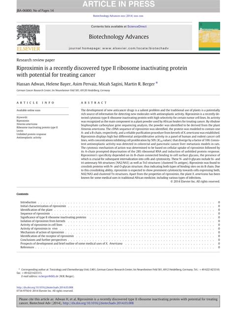 Pdf Riproximin Is A Recently Discovered Type Ii Ribosome Inactivating