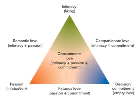 Lecture 9 Attraction And Intimacy Flashcards Quizlet