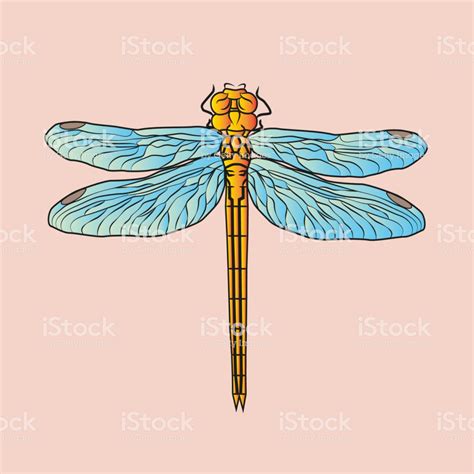 [24+] Pretty Dragonfly Background | WallpaperSafari