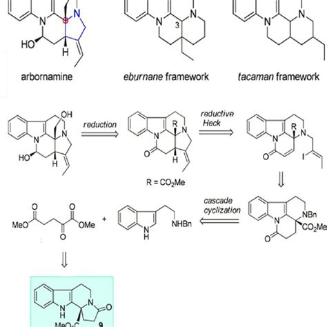 Synthesis Of Monoterpene Indole Alkaloid Download Scientific Diagram