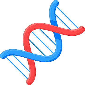 Spiral Dna Molecule Connected Chemical Bond Helix Molecule Bio Vector