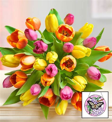 Assorted Tulip Bouquet – Nenas Florist