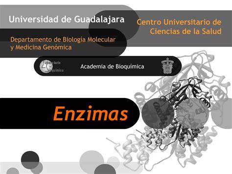 Enzimas Bioquímica Generalidades Ppt