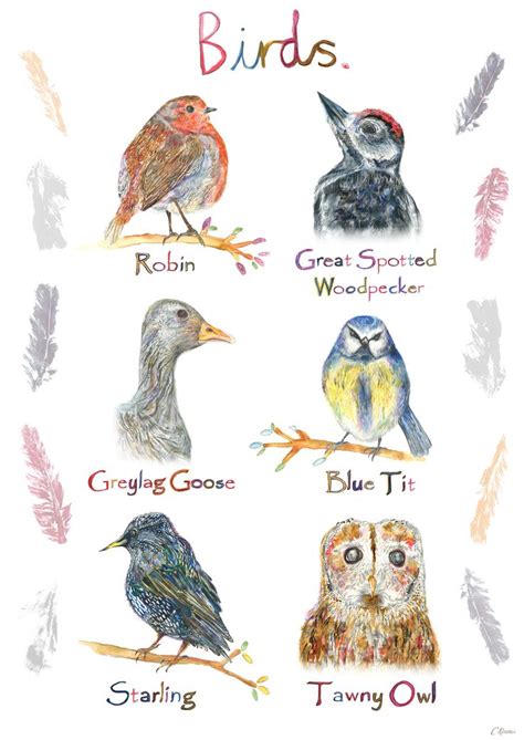 Commission for Hyde Park Education Centre, The Lookout