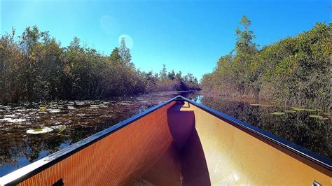 Canoeing In The Okefenokee Swamp National Wildlife Refuge On The Red Trail To Double Lakes