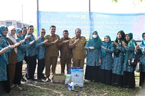 Peringati Hkg Ke Pengurus Pkk Aceh Besar Tanam Cabai Di Kajhu