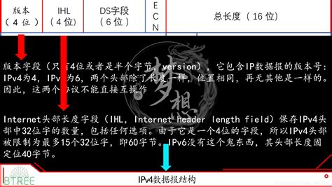 Ipv4和ipv6的数据报结构头部详解 源码巴士