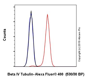 Alexa Fluor Anti Beta Iv Tubulin Antibody Epr Ab