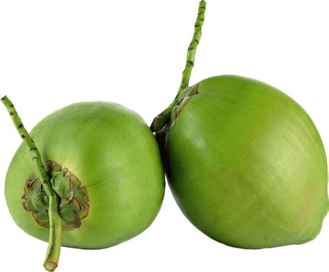 Coconut Png Images Transparent Free Download Pngmart