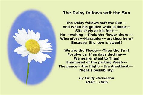 Emily Dickinson Daisy Poetry Photograph By Maxwell Fine Art America