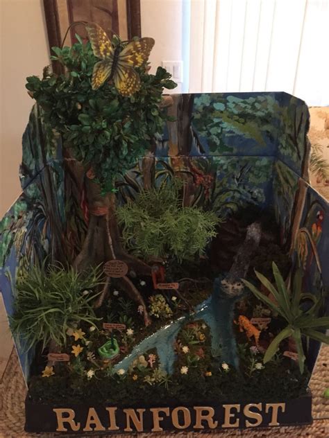 Rainforest Habitat Diorama Artofit