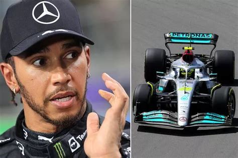 Lewis Hamilton Gave Beautiful Blonde Grid Girl His Coat At Rainy Brazil