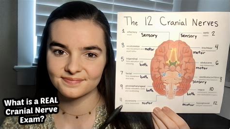 ASMR Teaching You About The Cranial Nerves How Does A Cranial Nerve