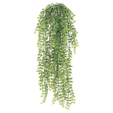 Trailing Tears Bush Artificial Hanging Plants Hanging Plants