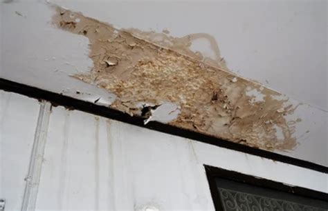 Mold Damage Insurance Claims Property Damage Consultants