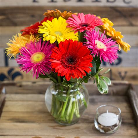 Gerbera Daisy Bowl In Cambridge Ma Coady Florist