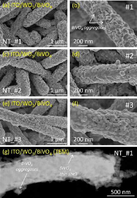 A−f Top View Sem Micrographs At Two Different Magnifications 1 μm Download Scientific