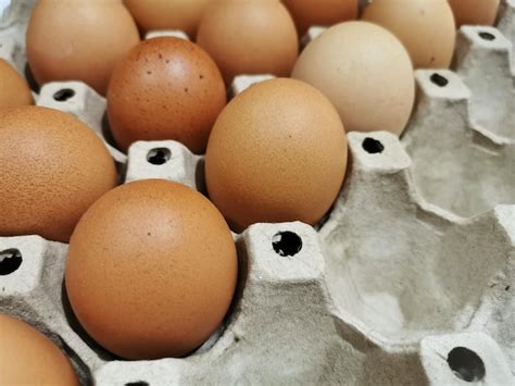 Ovos De Galinha Coloridos Em Um Prato De Papel Pardo Foto Premium