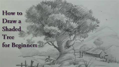 How to draw a shaded tree with landscape for beginners - YouTube