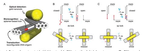 Figure From A Dna Origami Based Chiral Plasmonic Sensing Device