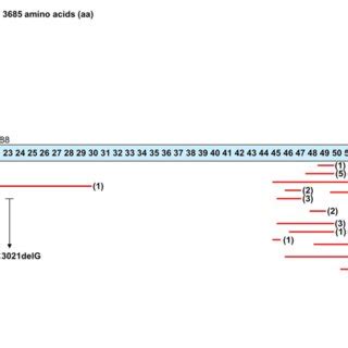 Schematic Representation Of The Distribution Pattern Of Mutations