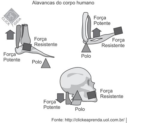 Blog de Biologia Questão de Física Acafe Basicamente uma alavanca