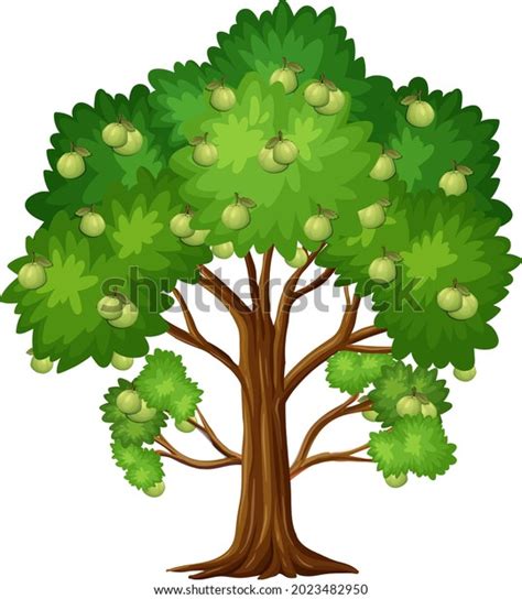 Guava Tree Cartoon Stock Photos and Pictures - 176 Images | Shutterstock