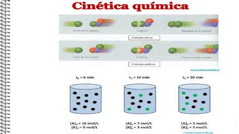 Solution Teoria Ii Cinetica Quimica Resumen Studypool