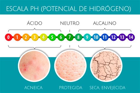 El Ph De La Piel C Mo Mantenerla Correctamente B Nature Shop