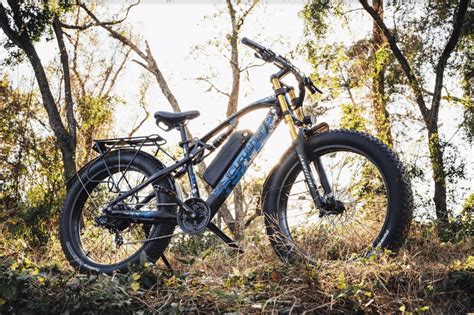 Cyrusher Xf Review Best All Terrain Fat Tire E Bike