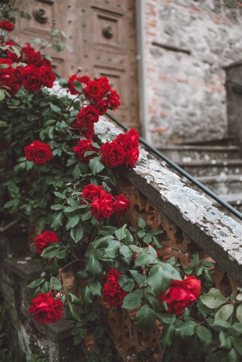 Primo Convegno Di Troppo Amore 1 Giugno Bologna Vuoi Incontrarmi Per