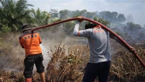 21 Titik Panas Terdeteksi Di Kalimantan Timur KABAR KALIMANTAN 1