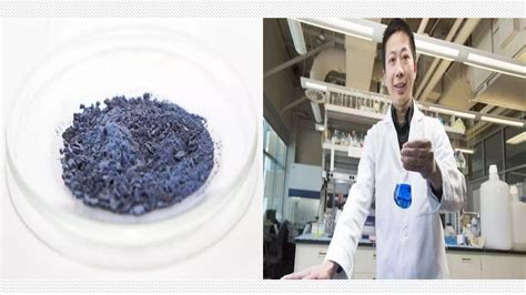 Microbial Synthesis Of Indigo Ppt