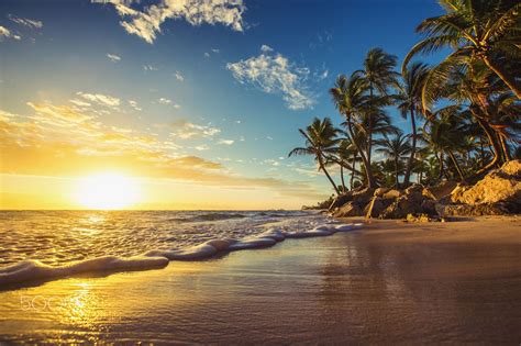 Landscape of paradise tropical island beach, sunrise shot - Palm trees ...