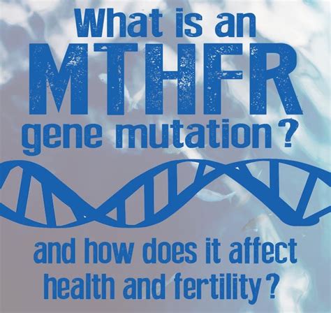 What Is A Mthfr Mutation