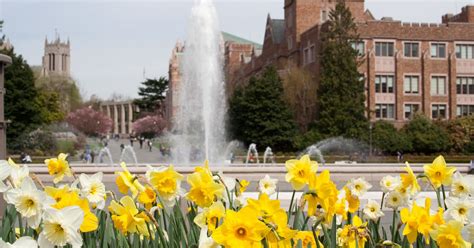 9 secret spots on the University of Washington Campus - Curbed Seattle