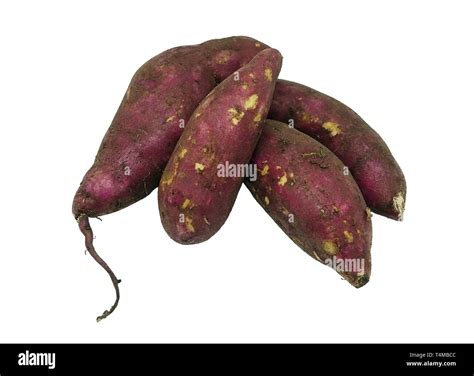 Camote morado grandes almidones de sabor dulce raíces tuberosas y