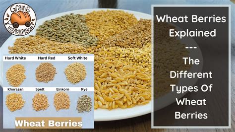 Wheat Berries Deciphered: Unlocking the Secrets of Flour Varieties