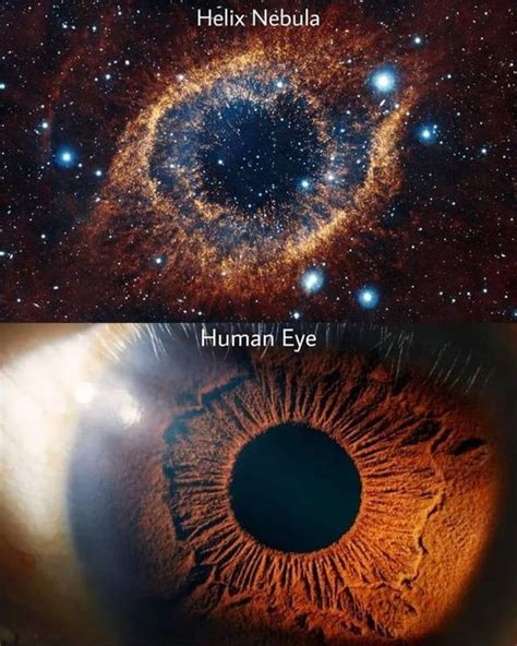 Bran On Twitter Rt Mastronomers Helix Nebula Human Eye