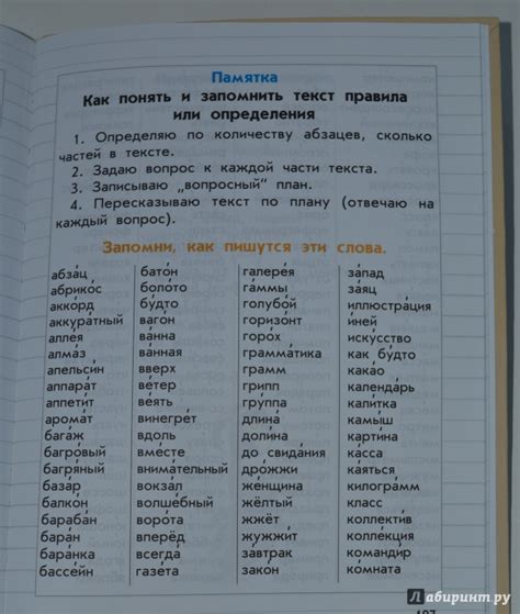 All Categories - midnightspecification