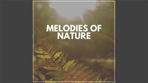 Nature Ambient Sounds For Relaxation Pt Youtube