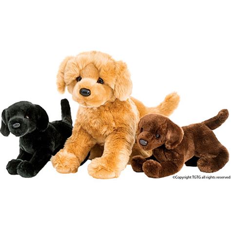 Douglas Dog Chester Black Lab 16 Toys Et Cetera